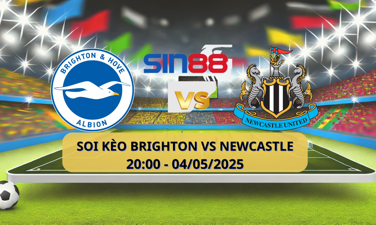 Nhận định bóng đá Brighton – Newcastle 20h00 ngày 04/05/2025 – Ngoại hạng Anh